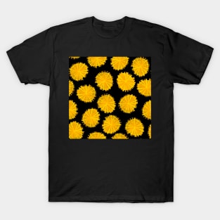 Dandelions on black T-Shirt